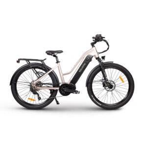 Rangler e-Bike - Silver electric bike - Hikobike