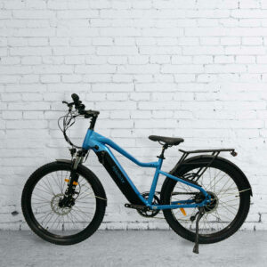 Enduro Electric Bike from Hikobike